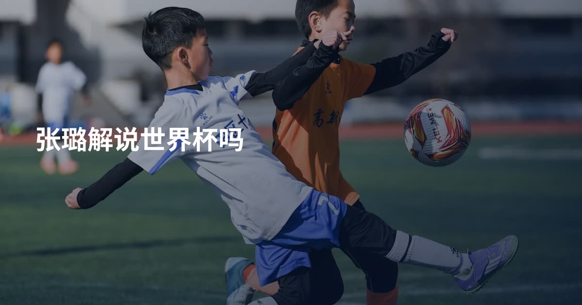 张璐解说世界杯吗