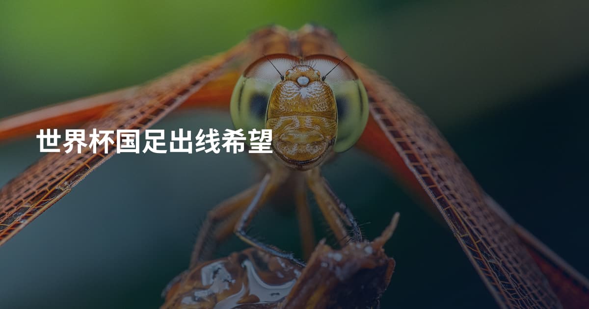 世界杯国足出线希望