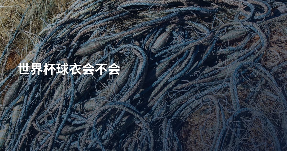 世界杯球衣会不会