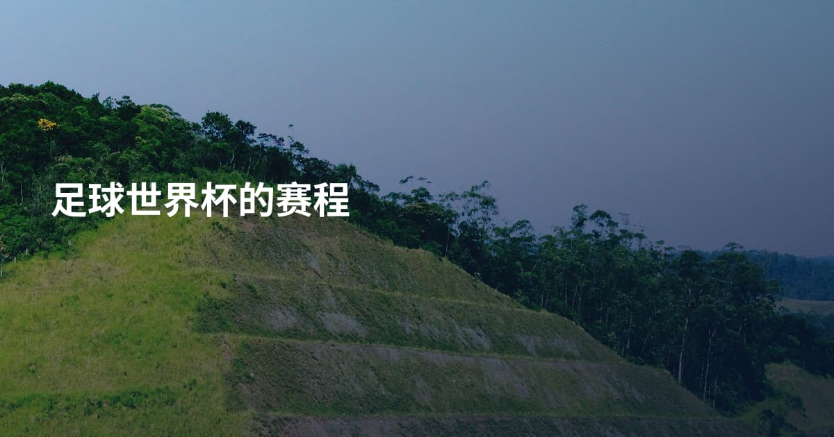 足球世界杯的赛程