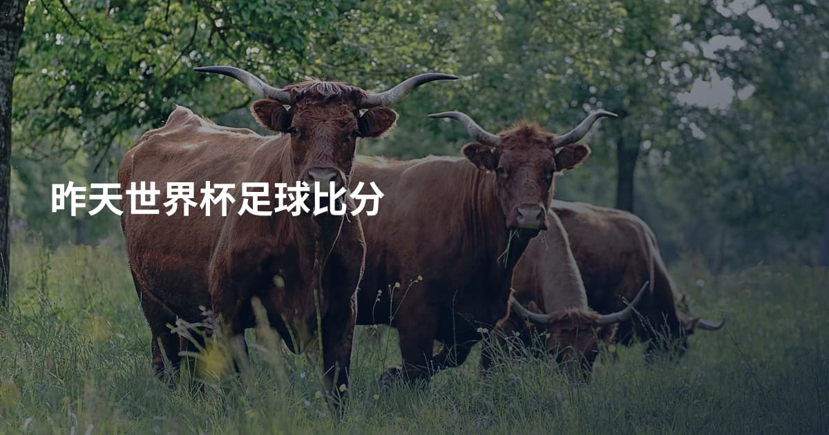 昨天世界杯足球比分