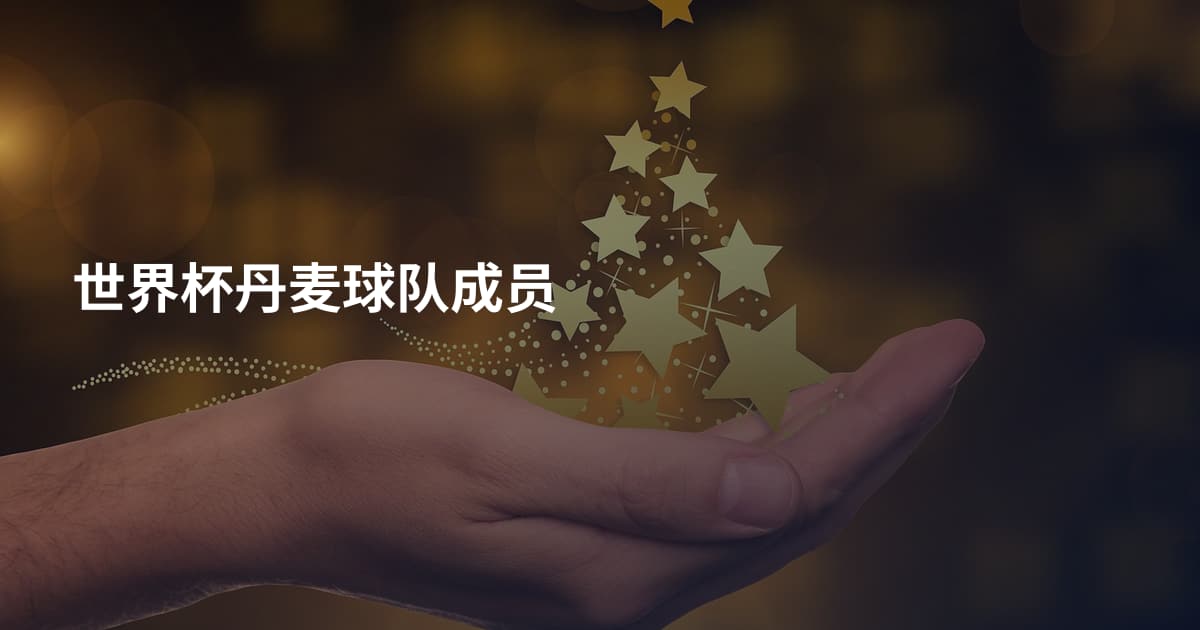 世界杯丹麦球队成员