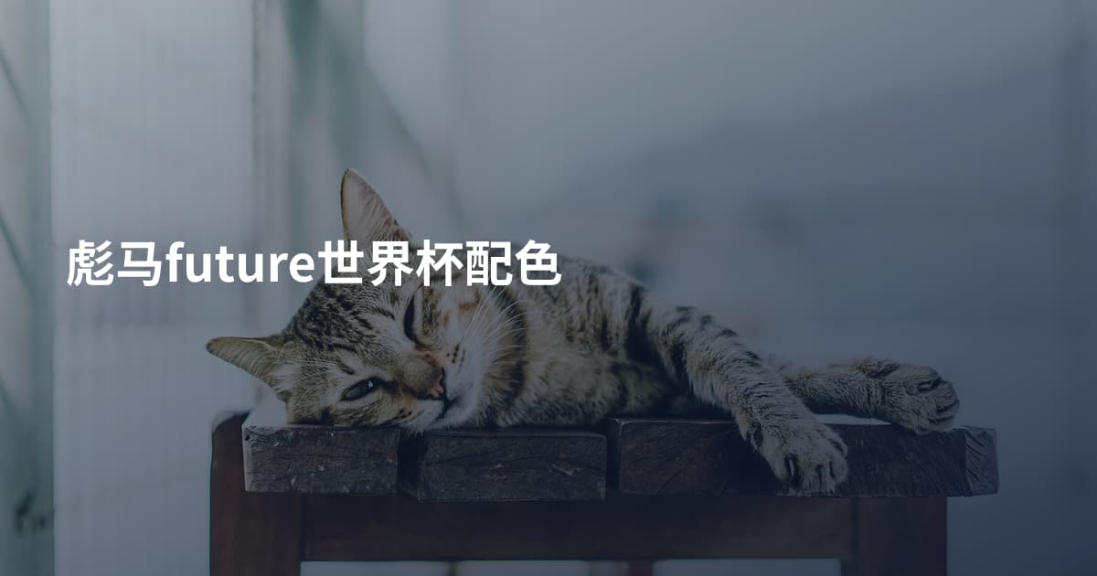 彪马future世界杯配色