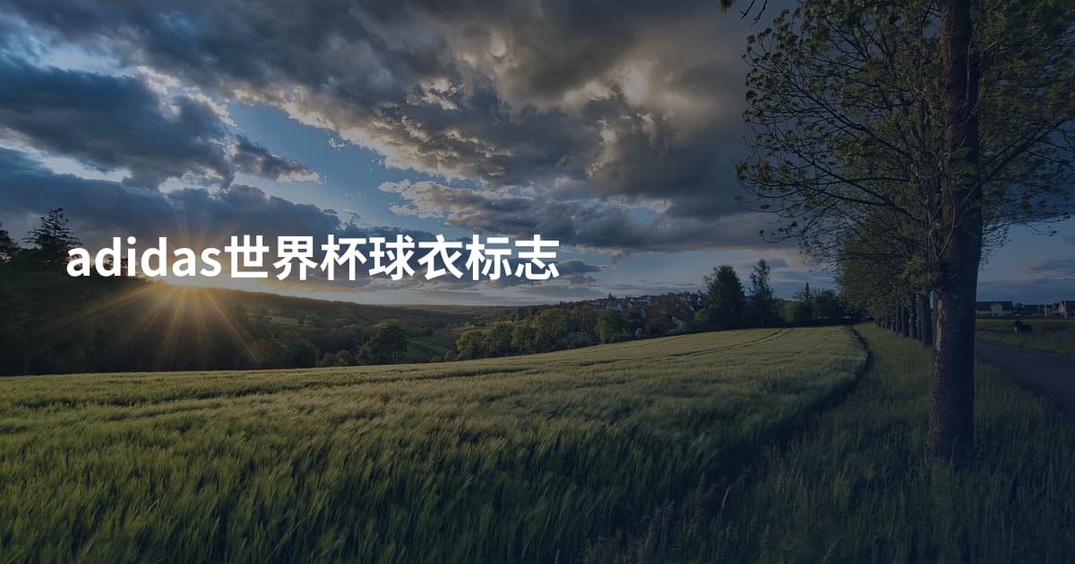 adidas世界杯球衣标志
