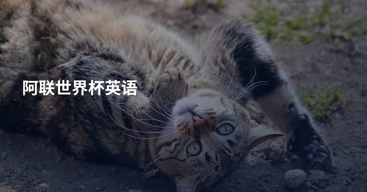 阿联世界杯英语