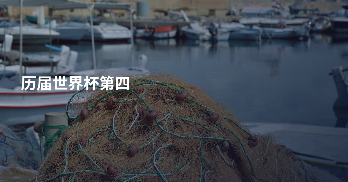 历届世界杯第四