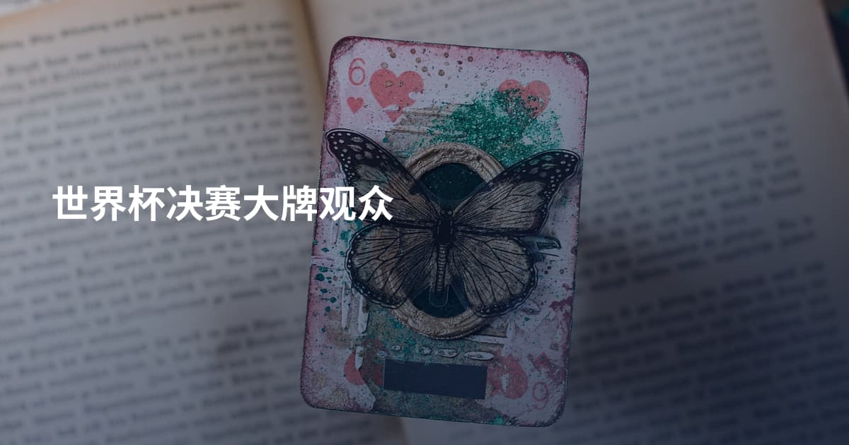 世界杯决赛大牌观众