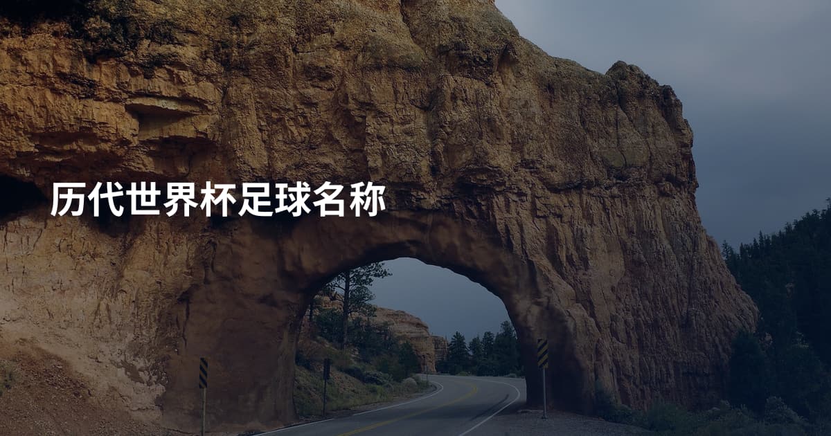 历代世界杯足球名称