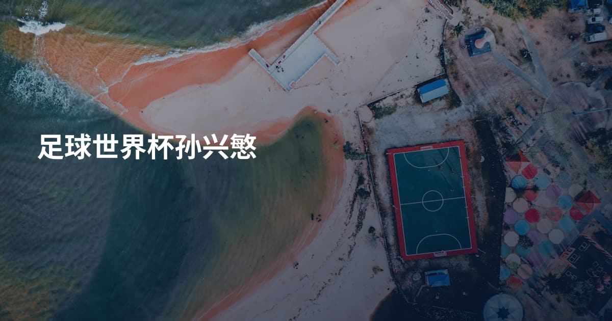 足球世界杯孙兴慜
