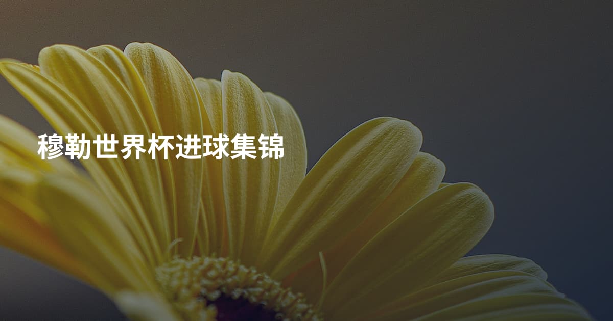 穆勒世界杯进球集锦