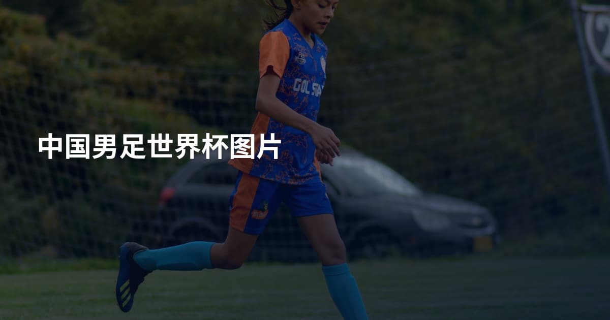 中国男足世界杯图片