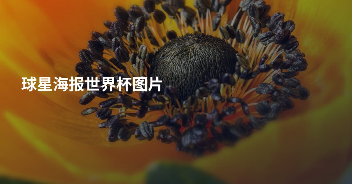 球星海报世界杯图片