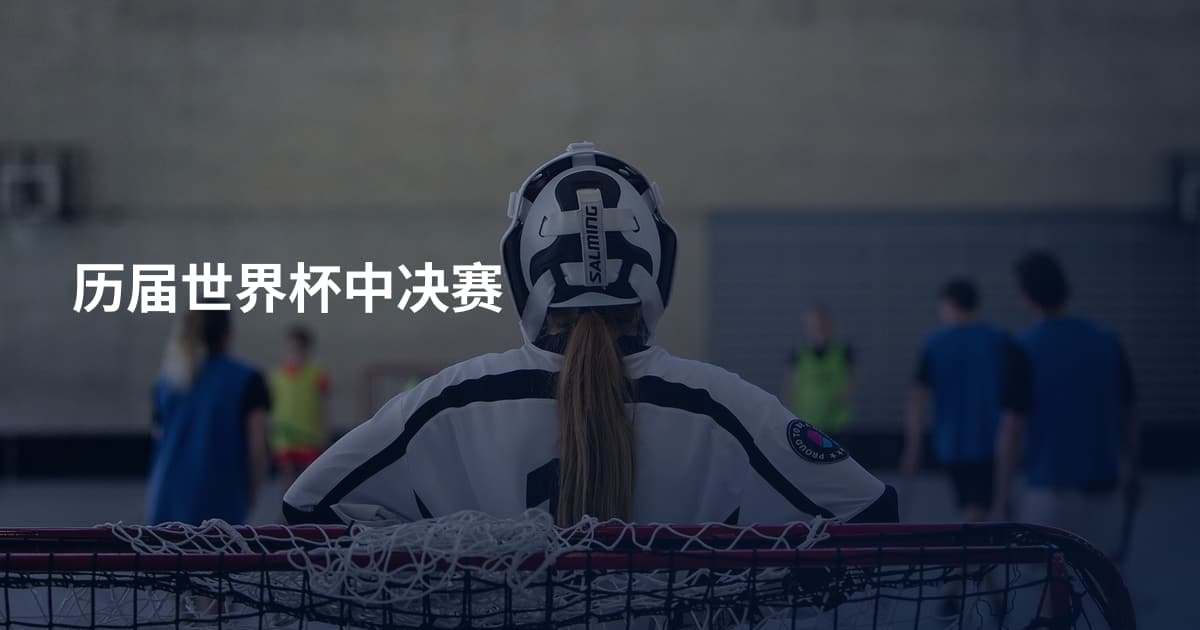 历届世界杯中决赛