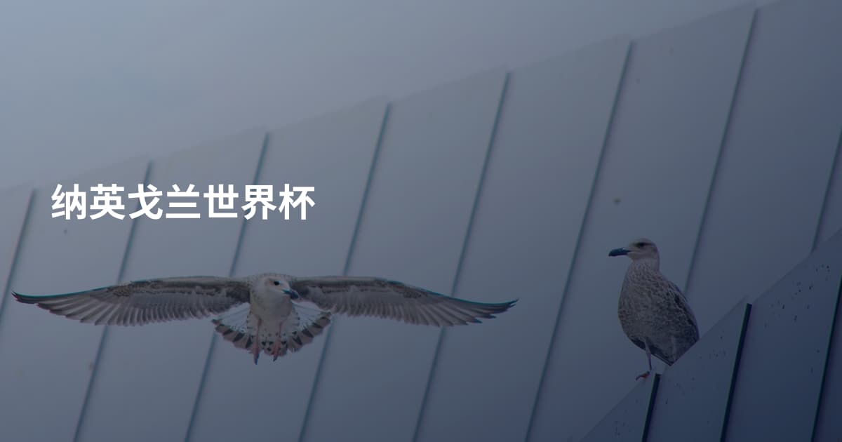 纳英戈兰世界杯