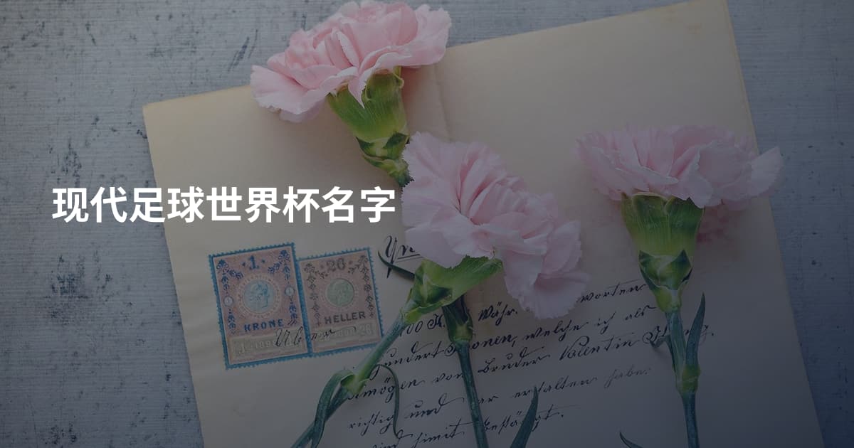 现代足球世界杯名字