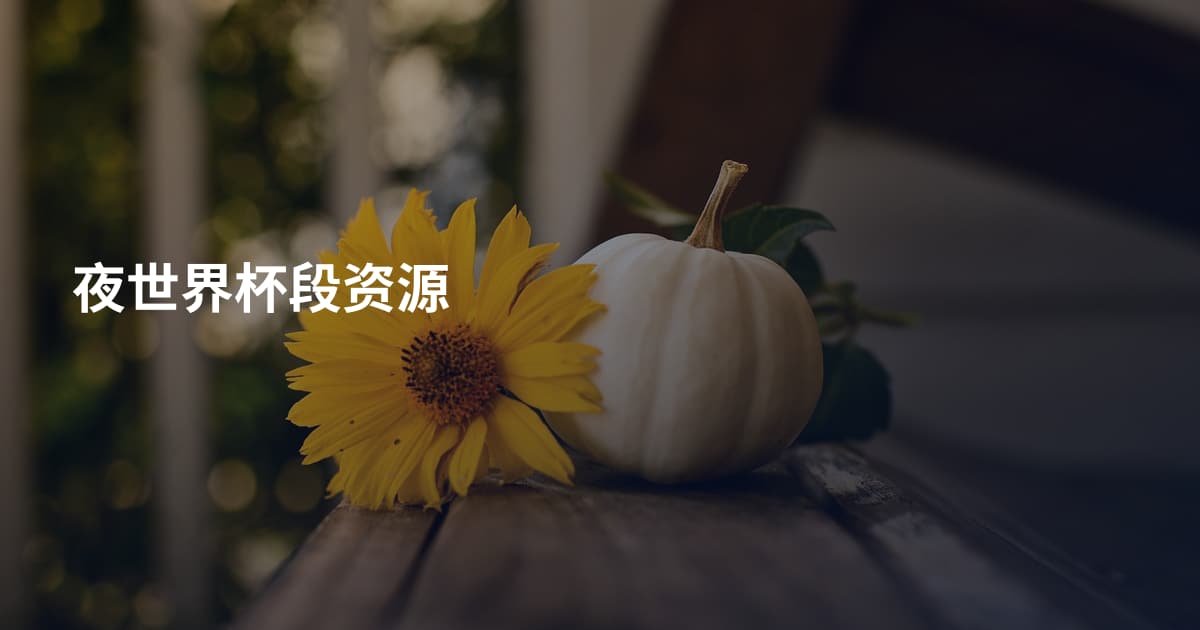 夜世界杯段资源