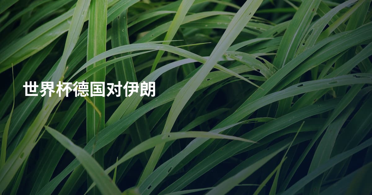 世界杯德国对伊朗