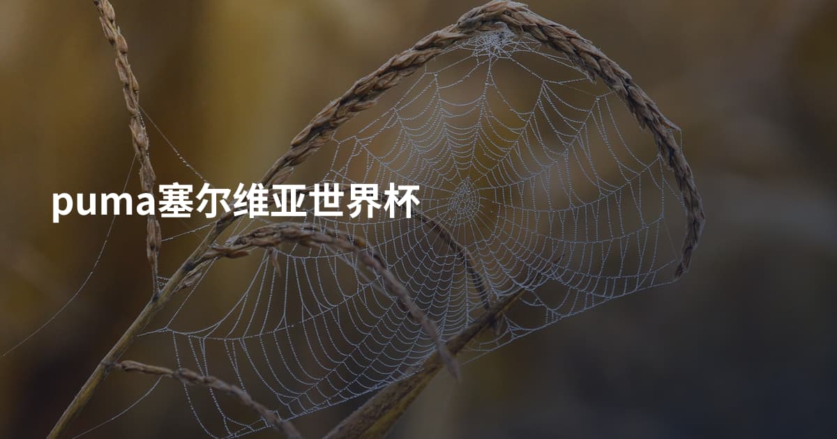 puma塞尔维亚世界杯