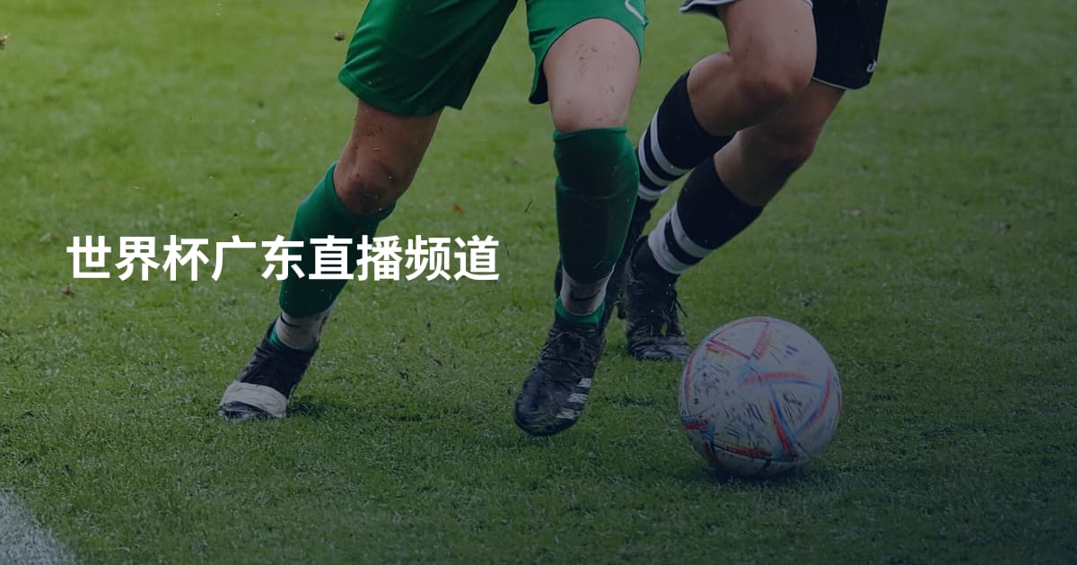 世界杯广东直播频道