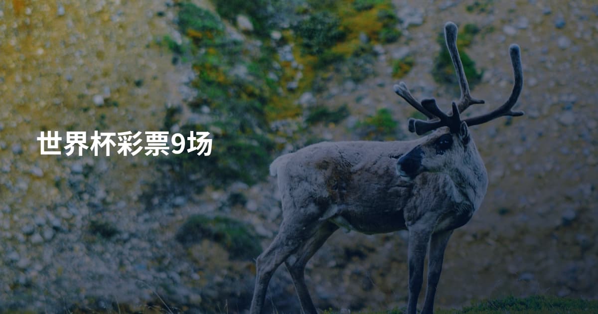 世界杯彩票9场