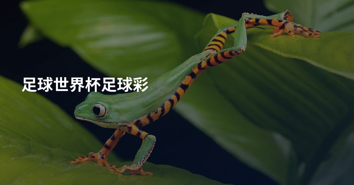足球世界杯足球彩