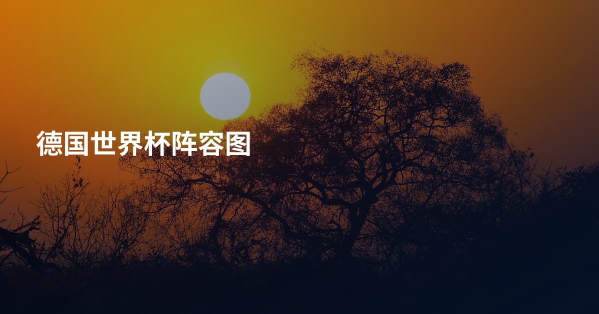 德国世界杯阵容图