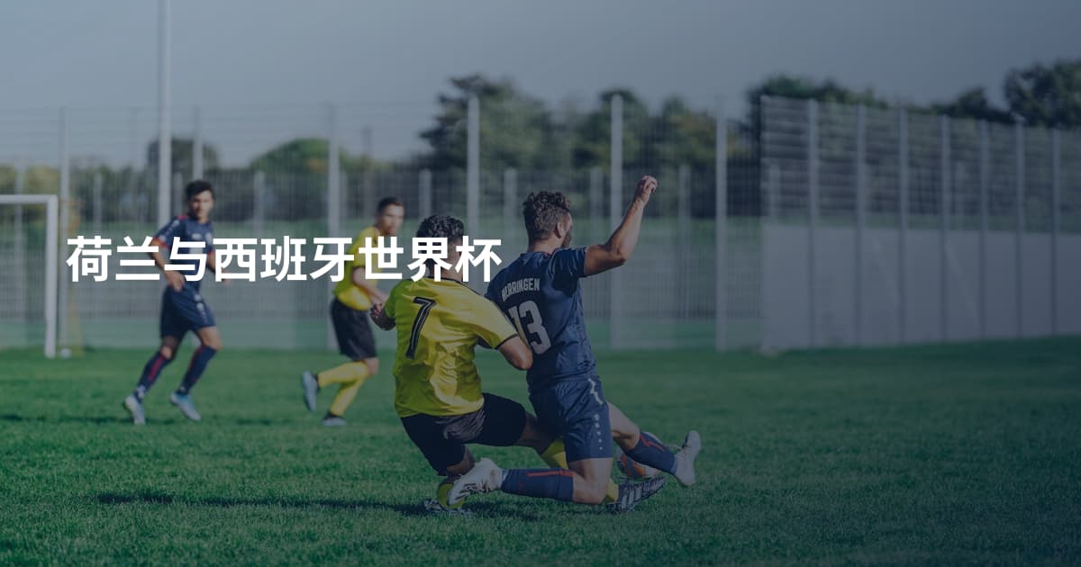 荷兰与西班牙世界杯