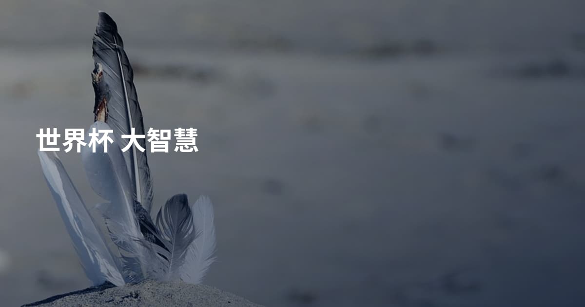 世界杯 大智慧