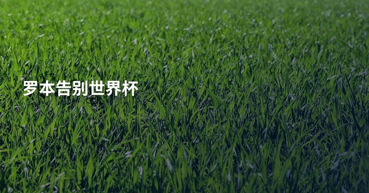 罗本告别世界杯