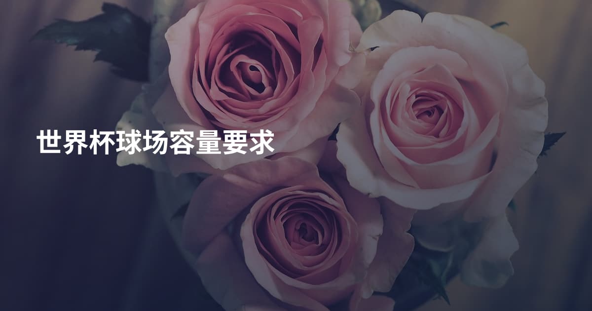世界杯球场容量要求