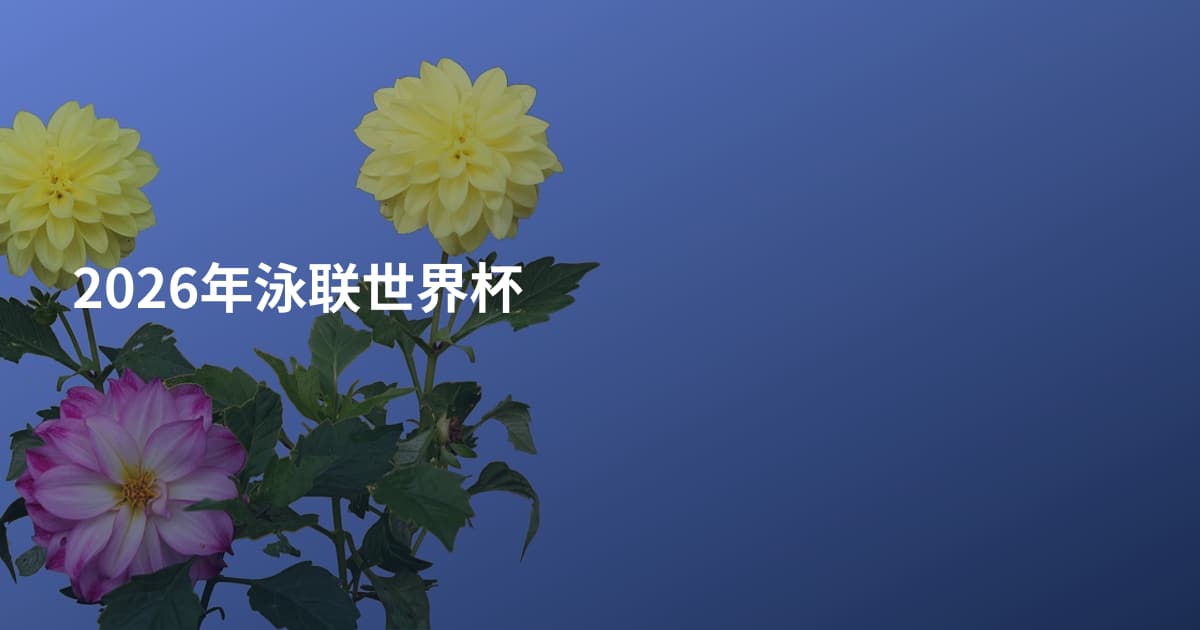2026年泳联世界杯