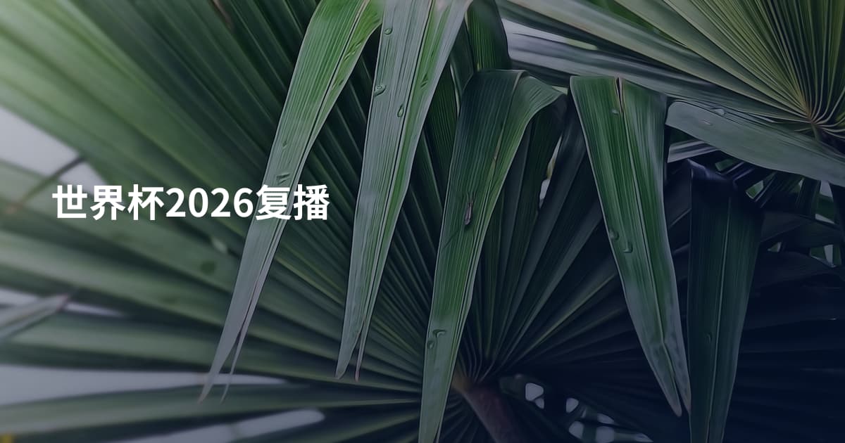 世界杯2026复播