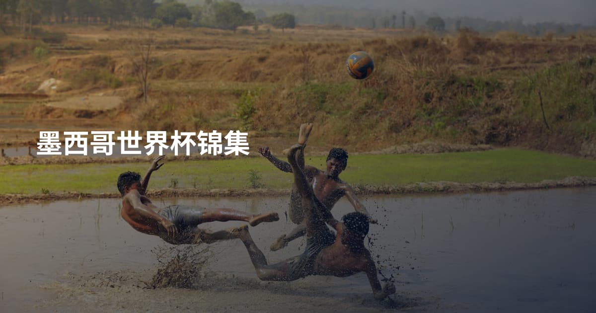 墨西哥世界杯锦集
