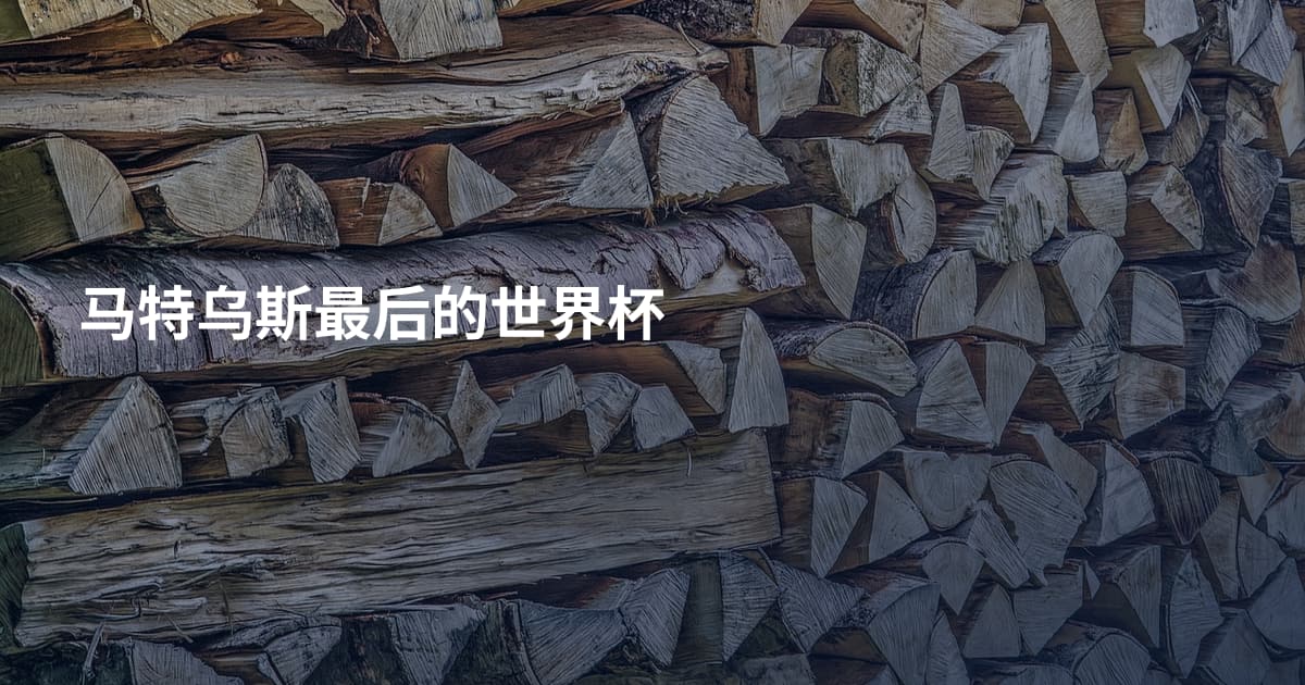 马特乌斯最后的世界杯