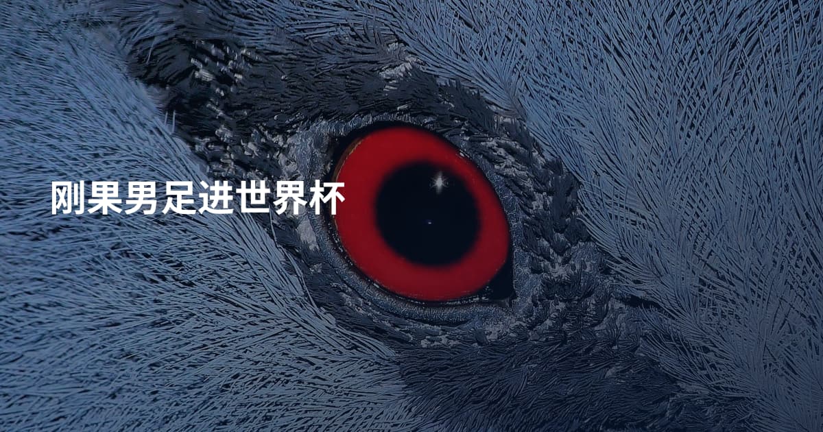 刚果男足进世界杯