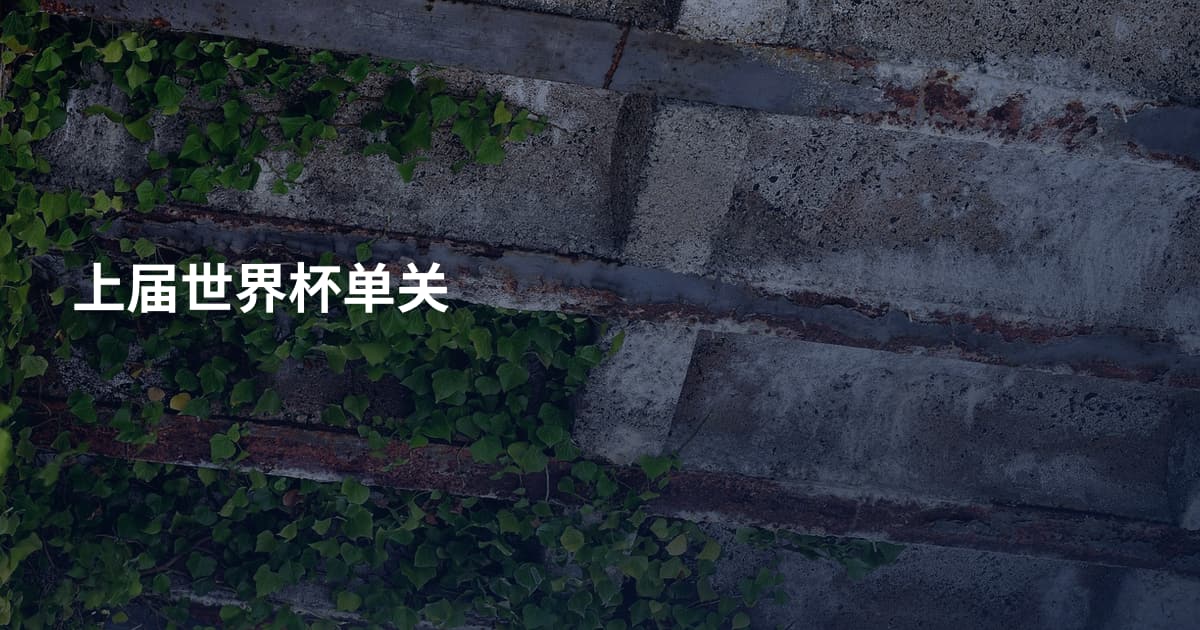 上届世界杯单关