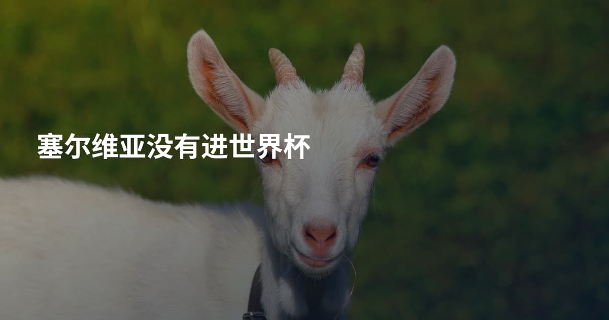 塞尔维亚没有进世界杯