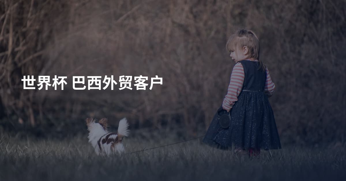 世界杯 巴西外贸客户