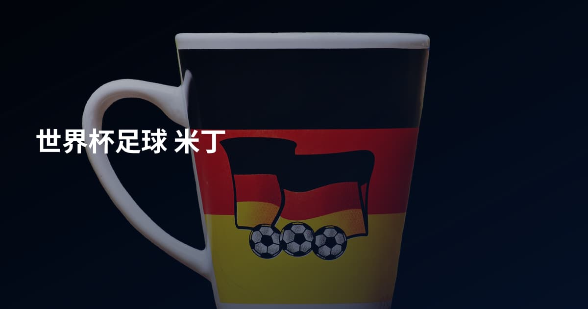 世界杯足球 米丁