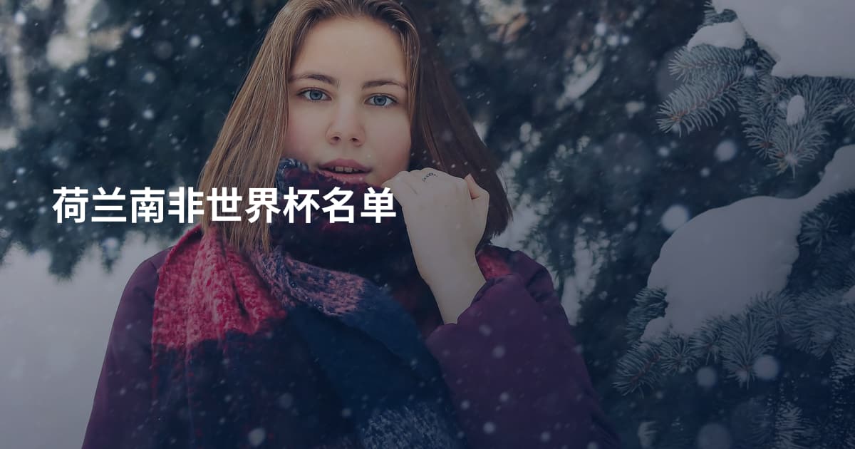 荷兰南非世界杯名单