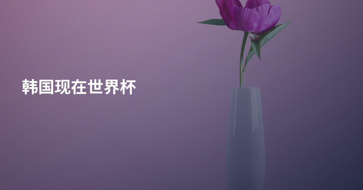 韩国现在世界杯
