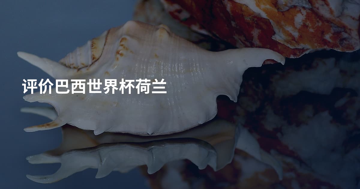 评价巴西世界杯荷兰