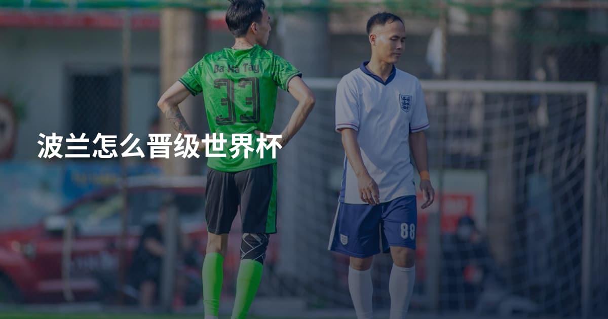 波兰怎么晋级世界杯