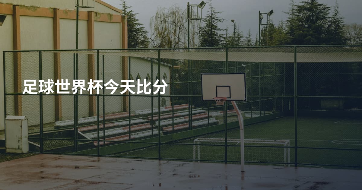 足球世界杯今天比分