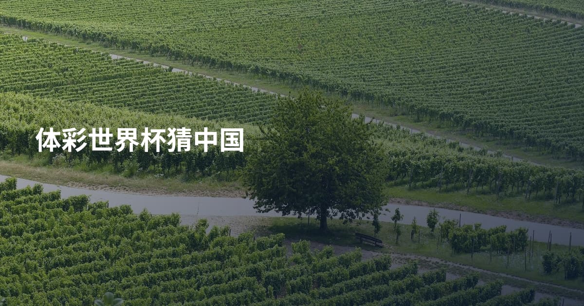 体彩世界杯猜中国