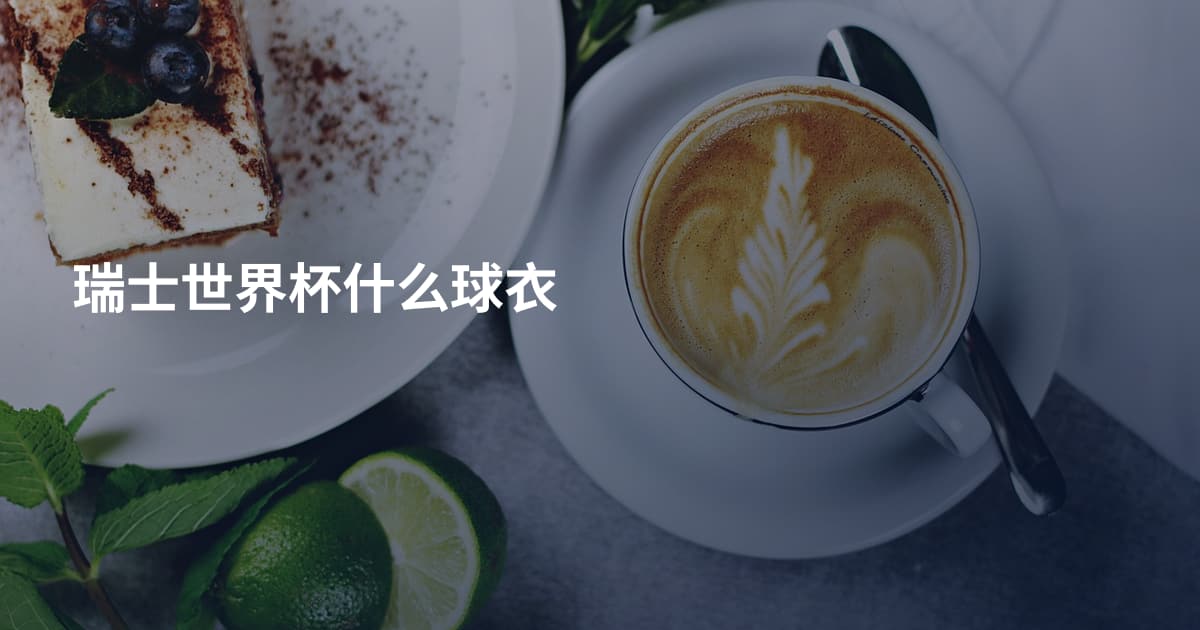 瑞士世界杯什么球衣