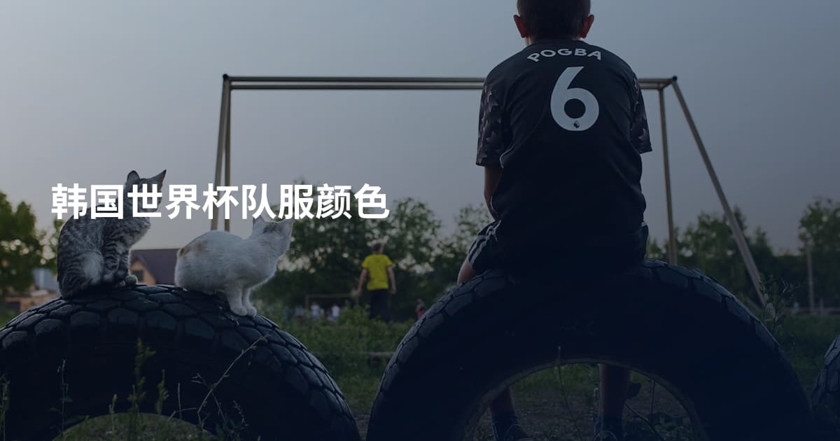 韩国世界杯队服颜色