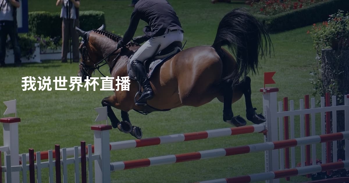 我说世界杯直播