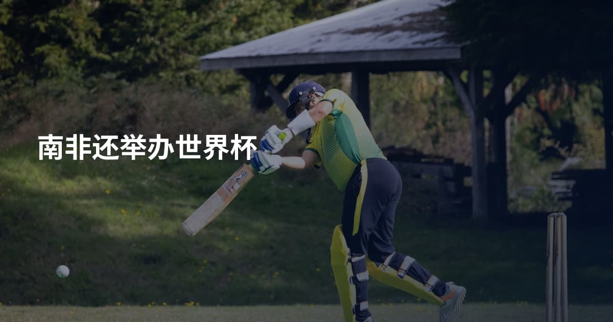 南非还举办世界杯