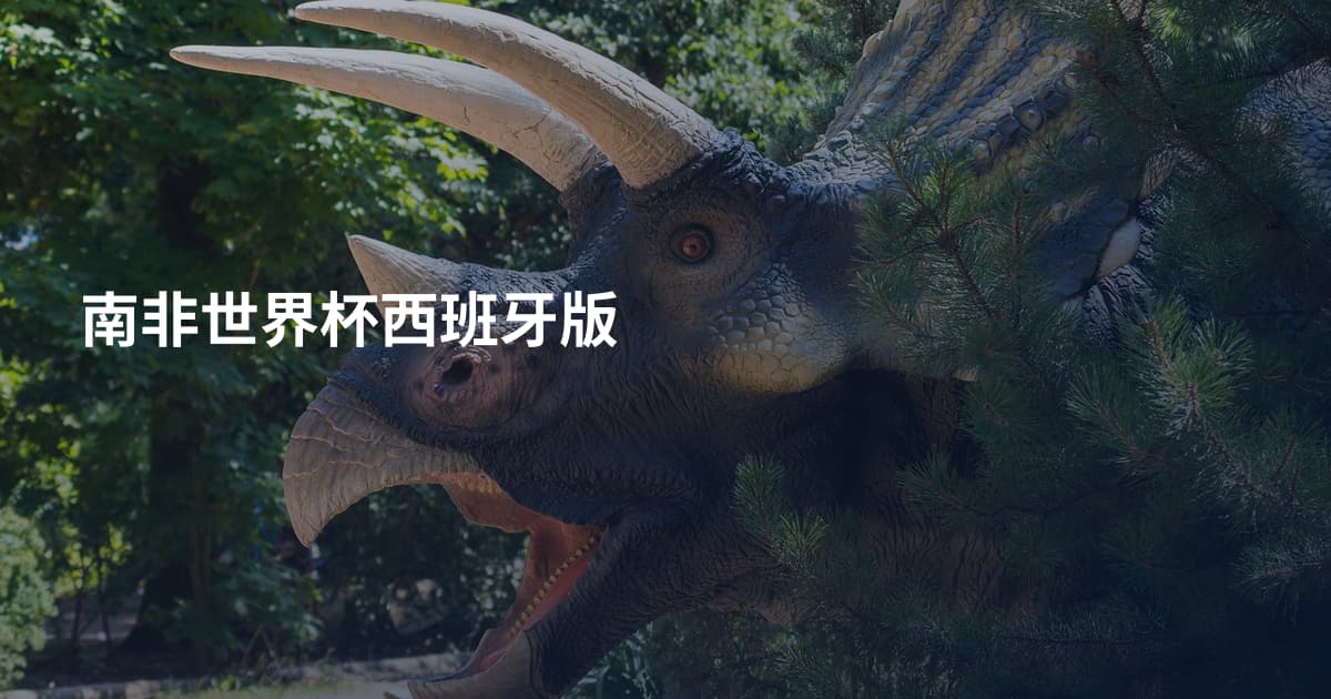 南非世界杯西班牙版